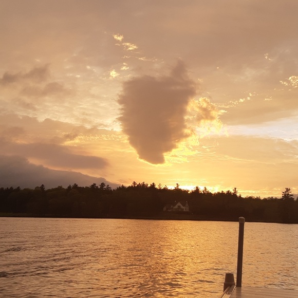 Meet your Posher, Sopha - Picture 1 of 1